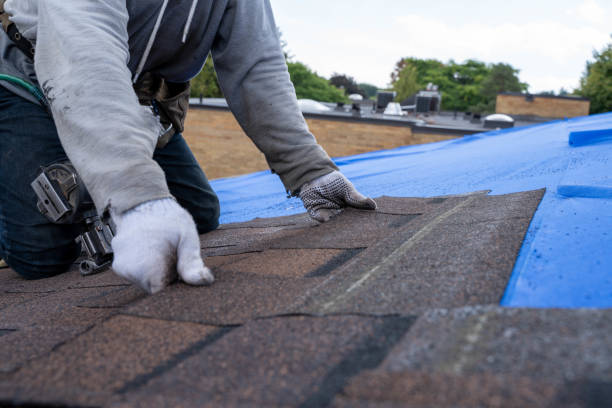 Best Gutter Installation and Roofing  in Oak Trail Shores, TX